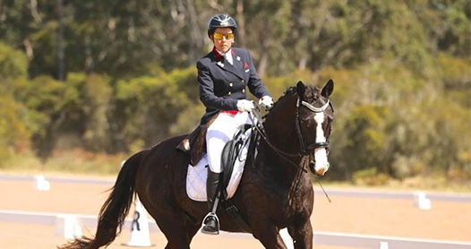 Riding on a Black Horse — Animal Physiotherapy in Maitland NSW