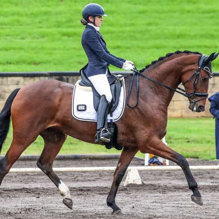 Woman Jockey Riding on a Horse — Animal Physiotherapy in Port Stephens NSW